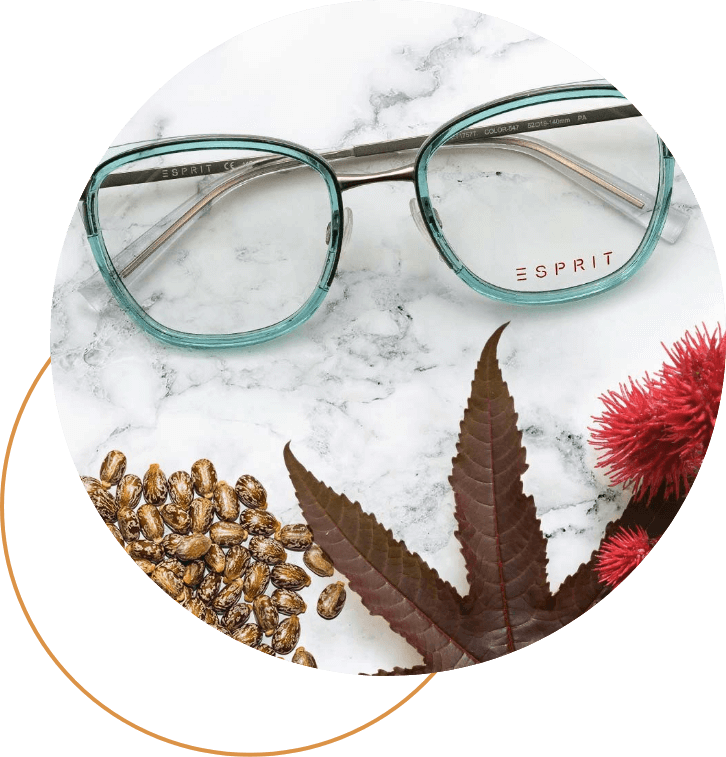 Brille mit blau transparenten Trägern liegt auf Marmor Gestein mit Herbst Dekoration
