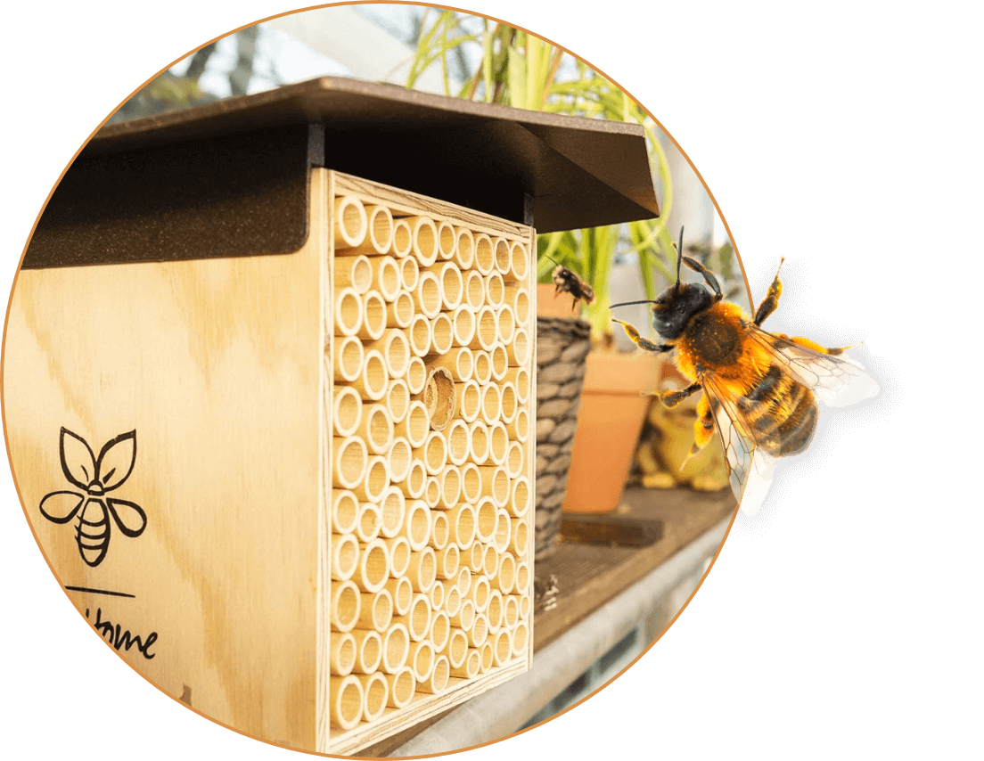 Bienen fliegen in ein von Menschenhand erbautes Bienennest